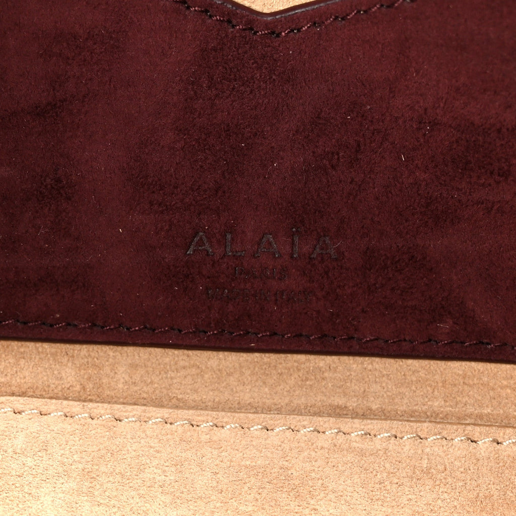 Suede Goatskin Le Teckel Clutch Rouge Grenat