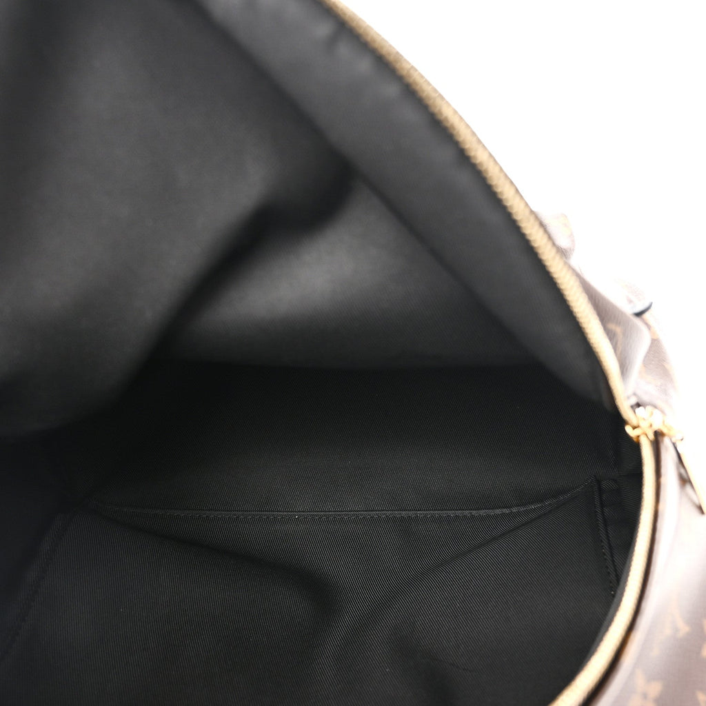 Monogram Palm Springs Backpack MM