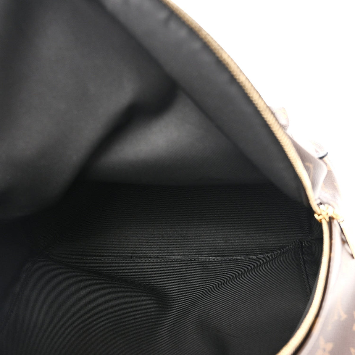 Monogram Palm Springs Backpack MM