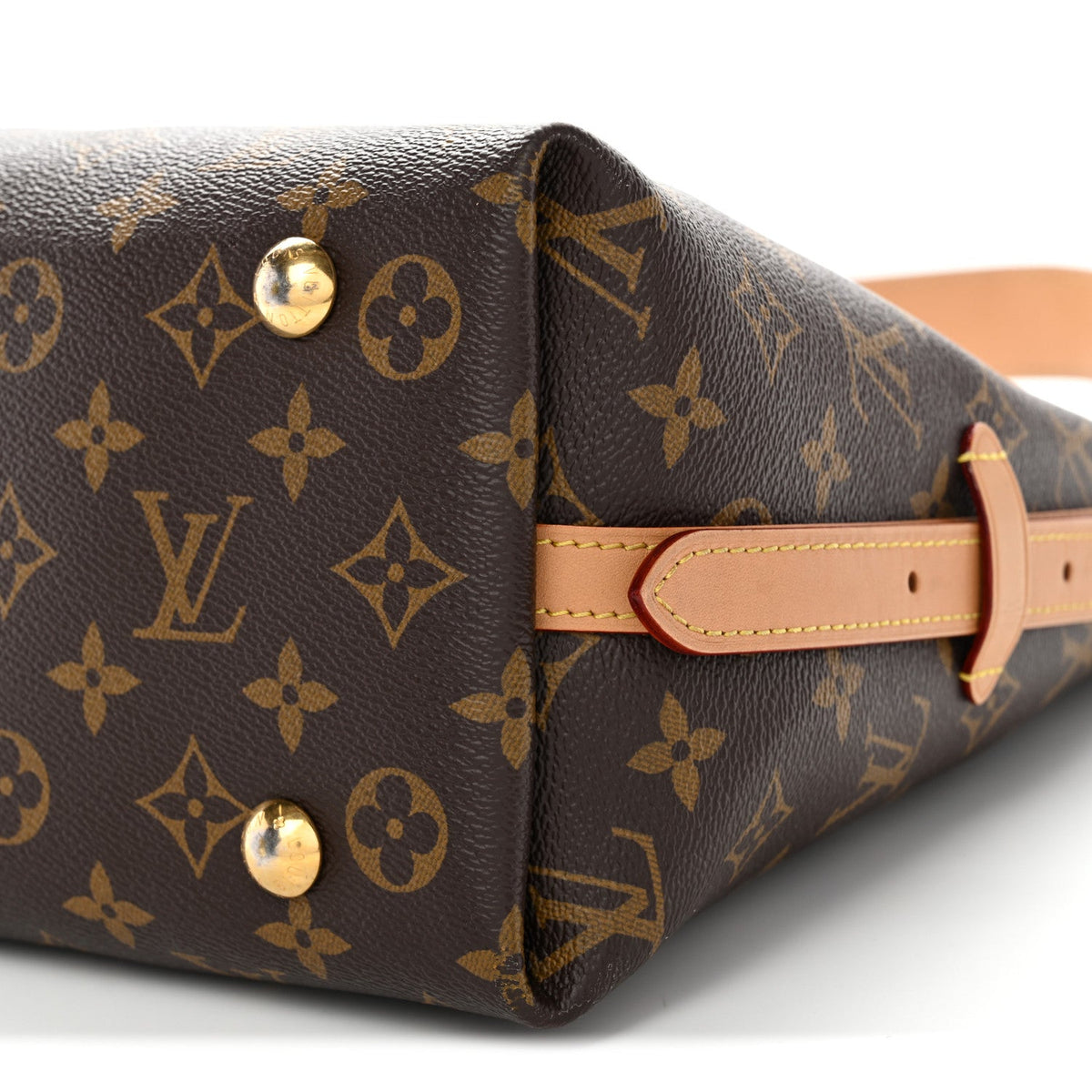 Monogram CarryAll PM