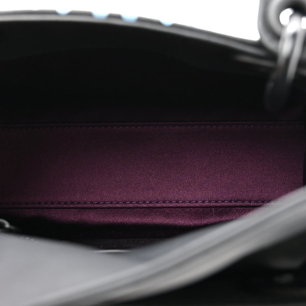 X BHARTI KHER Calfskin Painted Mini Lady Dior Black