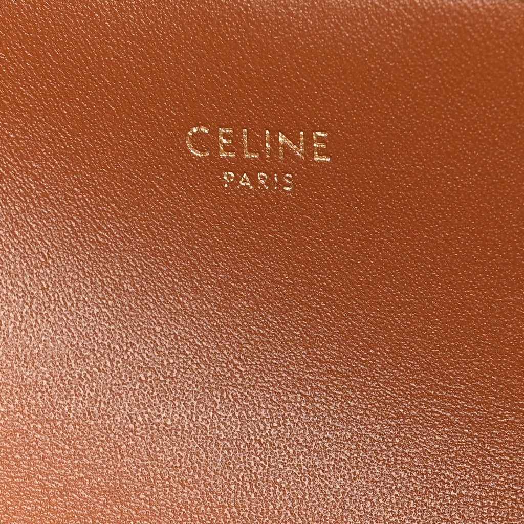 Canvas Calfskin Triomphe Shoulder Bag Tan