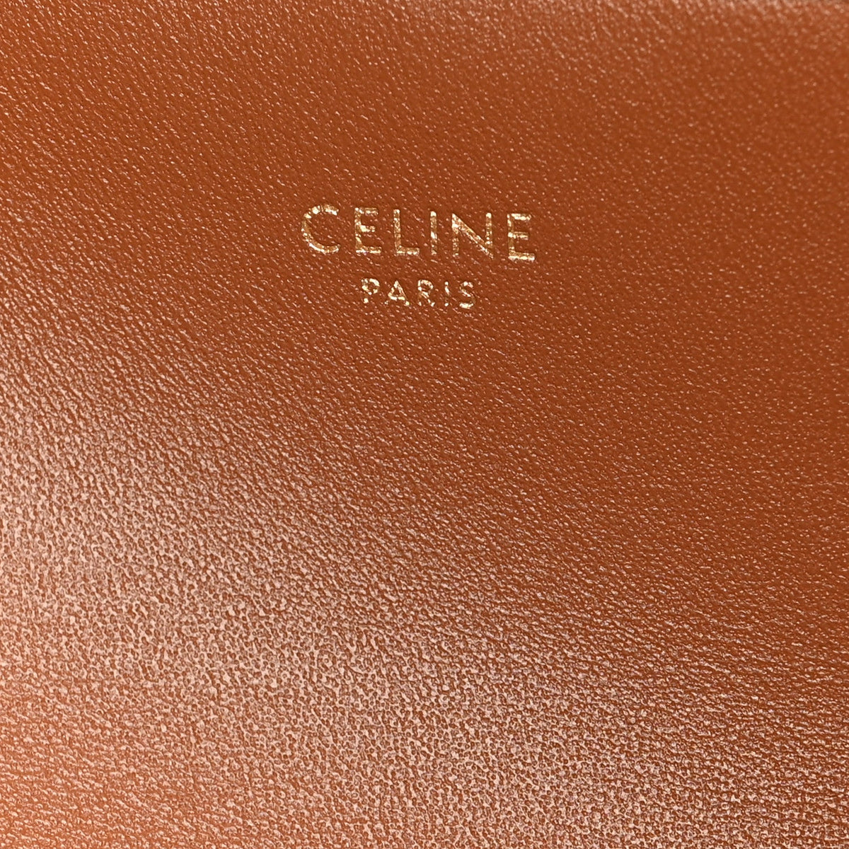Canvas Calfskin Triomphe Shoulder Bag Tan