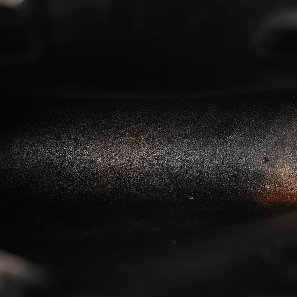 Sequin Calfskin Mini Vertical Cabas Black White
