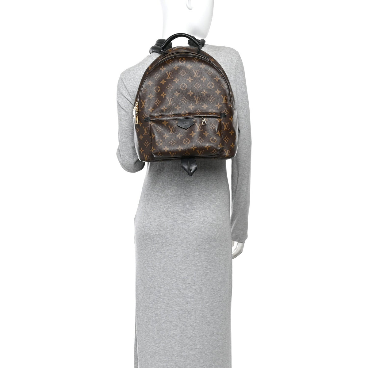 Monogram Palm Springs Backpack MM