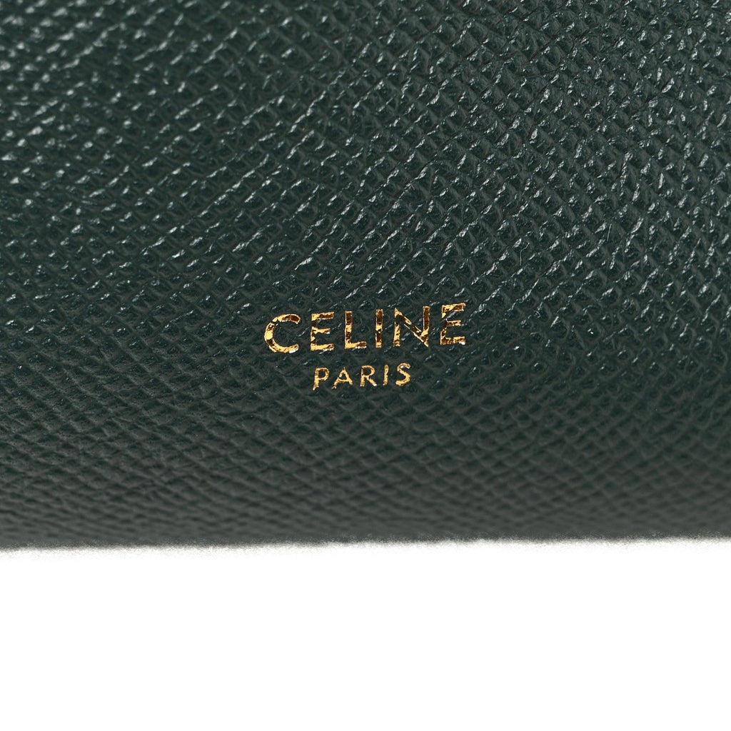 Grained Calfskin Micro Belt Bag Amazone