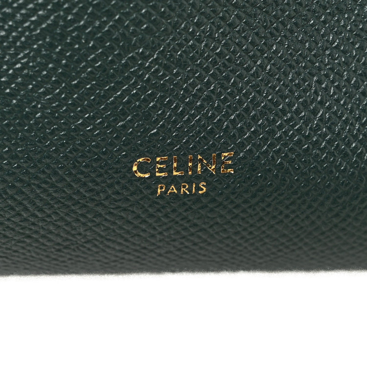 Grained Calfskin Micro Belt Bag Amazone